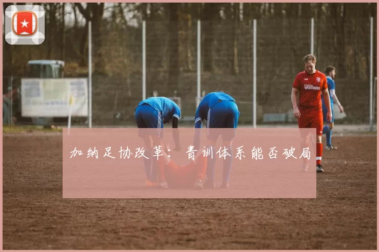 加纳足协改革：青训体系能否破局