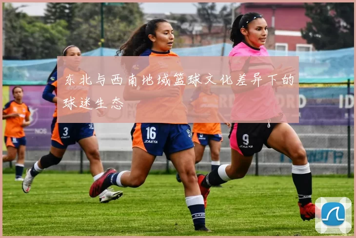 东北与西南地域篮球文化差异下的球迷生态