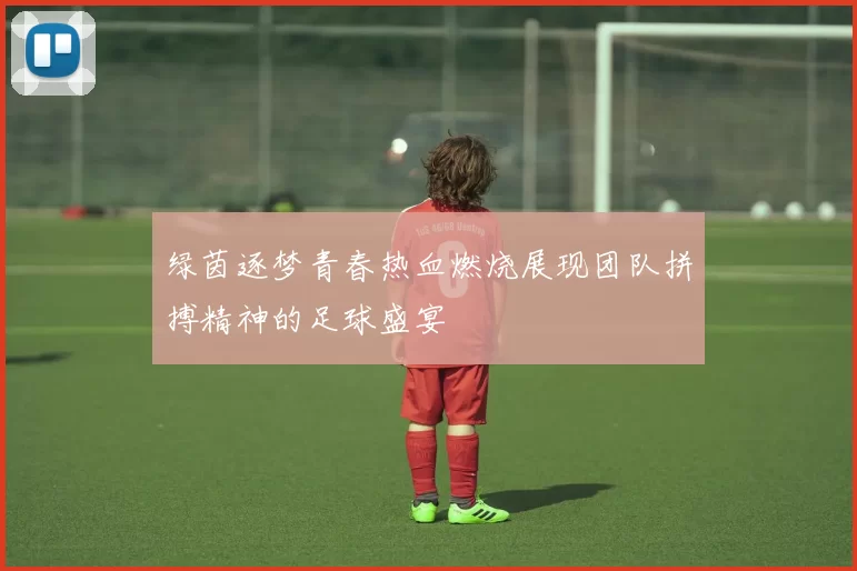 绿茵逐梦青春热血燃烧展现团队拼搏精神的足球盛宴