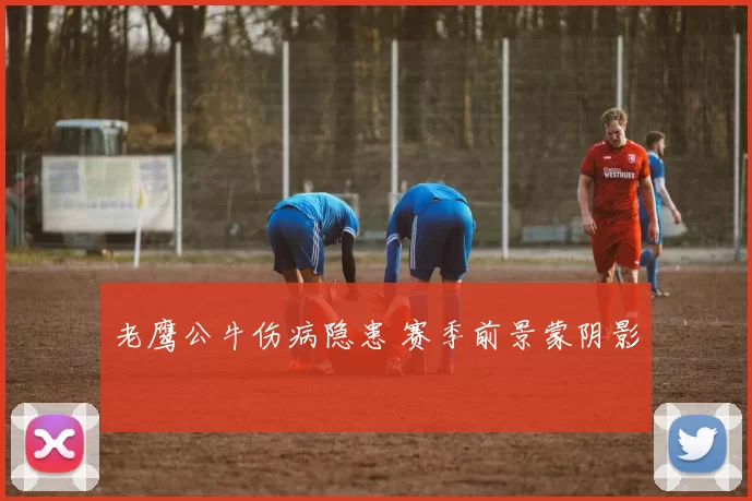 老鹰公牛伤病隐患 赛季前景蒙阴影