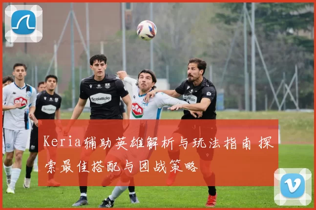 Keria辅助英雄解析与玩法指南 探索最佳搭配与团战策略